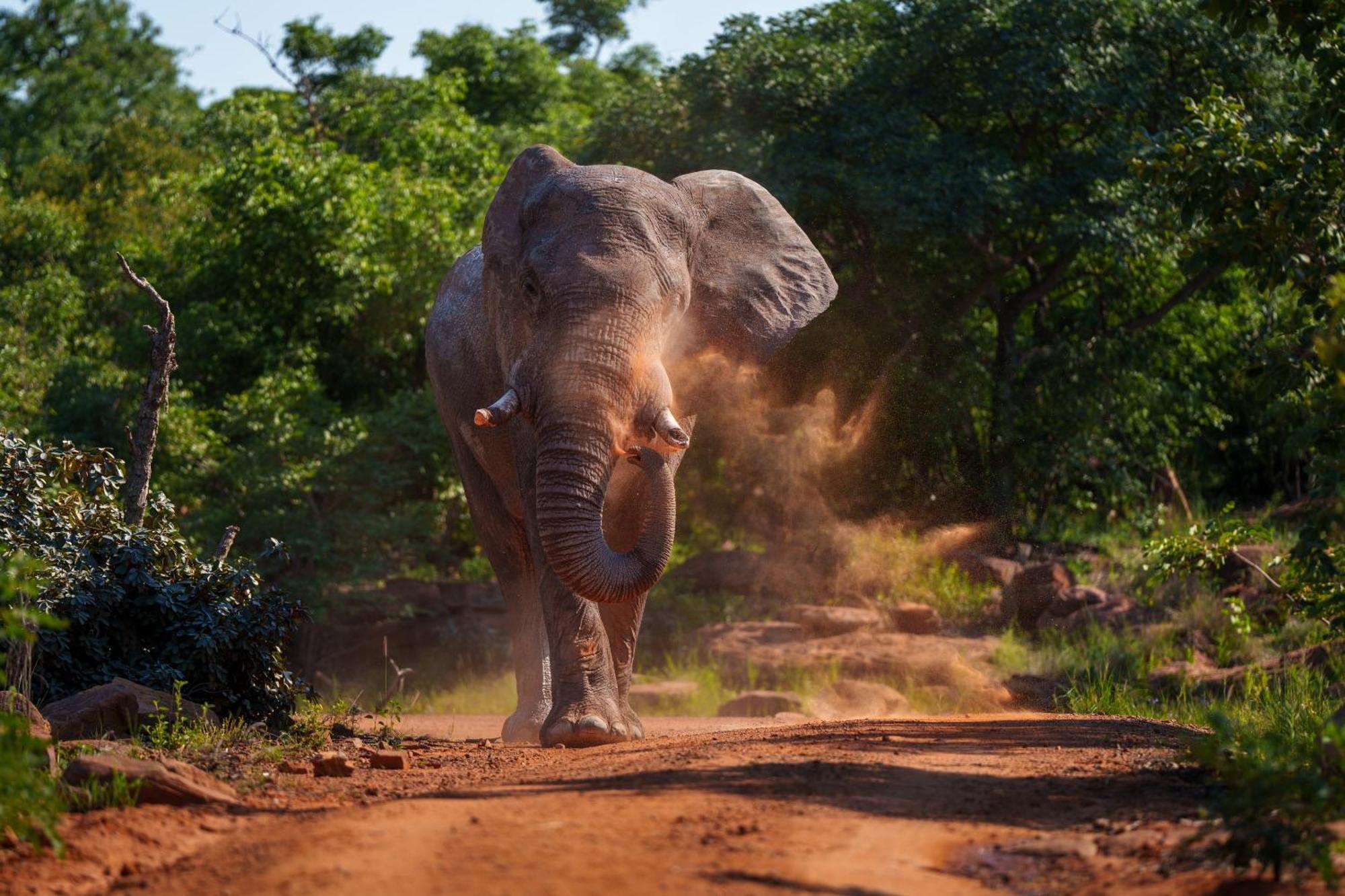 Sediba Luxury Safari Lodge Welgevonden Game Reserve Exterior foto